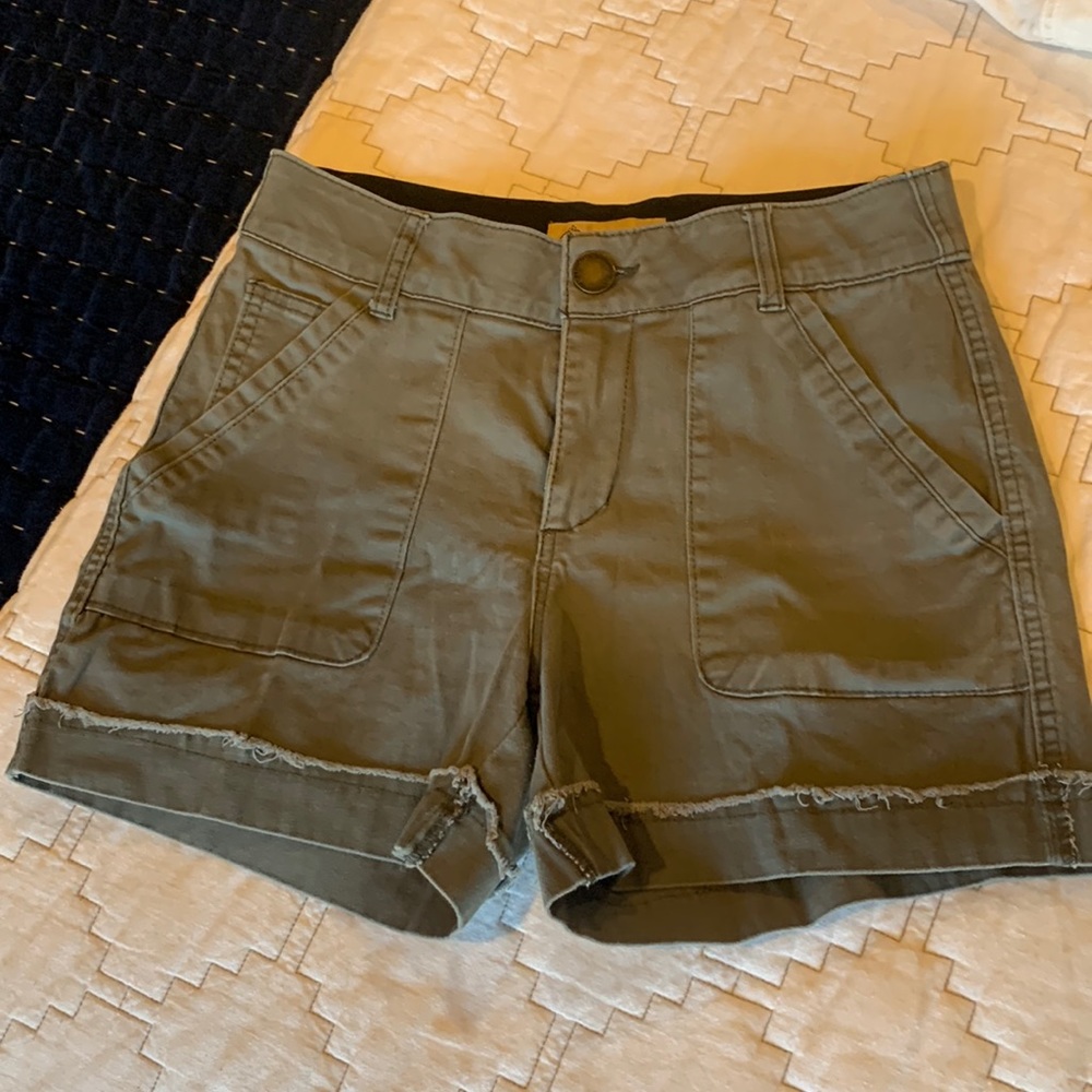 Democracy shorts